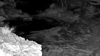 Still 3 from this detection