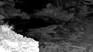 Still 2 from this detection