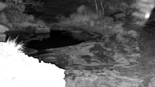 Still 2 from this detection