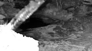 Still 1 from this detection