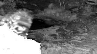 Still 2 from this detection