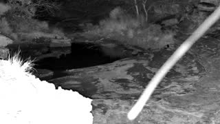 Still 1 from this detection