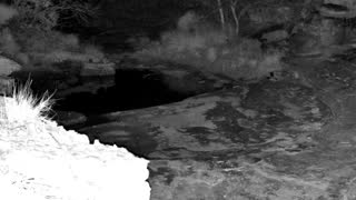 Still 3 from this detection