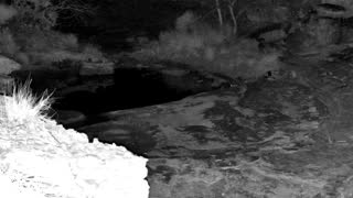 Still 1 from this detection