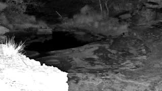 Still 2 from this detection