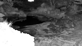 Still 3 from this detection