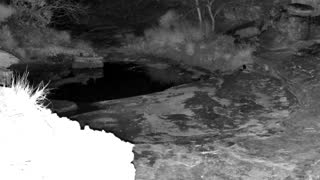 Still 1 from this detection