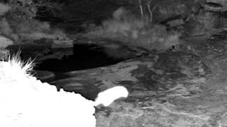 Still 1 from this detection