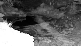 Still 2 from this detection