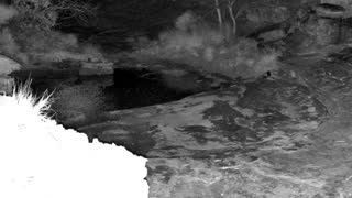 Still 3 from this detection