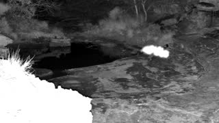 Still 3 from this detection