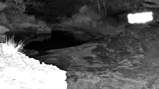 Still 2 from this detection