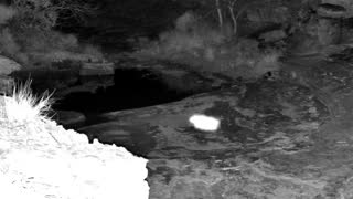 Still 3 from this detection