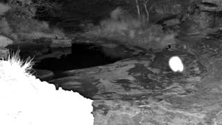 Still 1 from this detection