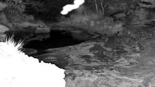 Still 1 from this detection