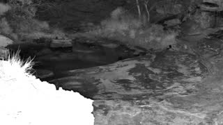 Still 1 from this detection