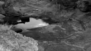 Still 2 from this detection