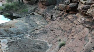Still 2 from this detection