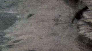 Still 1 from this detection
