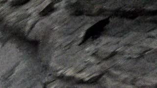 Still 1 from this detection