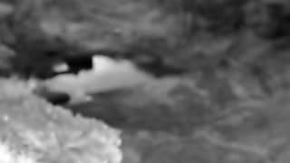 Still 3 from this detection