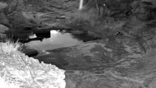 Still 1 from this detection