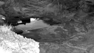 Still 1 from this detection