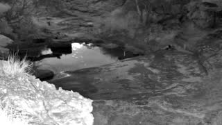 Still 2 from this detection