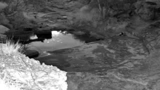 Still 3 from this detection