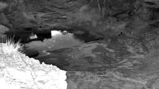Still 1 from this detection