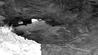 Still 2 from this detection