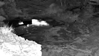 Still 1 from this detection
