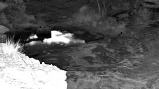 Still 1 from this detection
