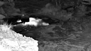Still 3 from this detection