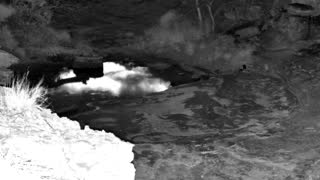 Still 1 from this detection