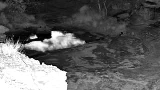 Still 2 from this detection