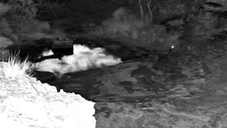 Still 2 from this detection