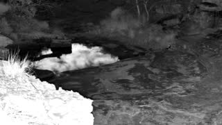 Still 3 from this detection
