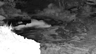 Still 1 from this detection