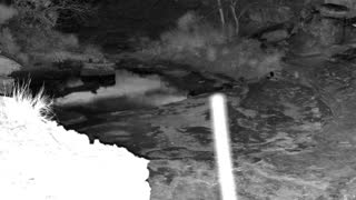 Still 1 from this detection