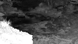 Still 3 from this detection