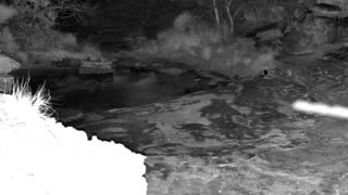 Still 1 from this detection