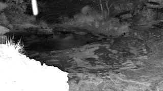 Still 2 from this detection