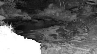 Still 2 from this detection