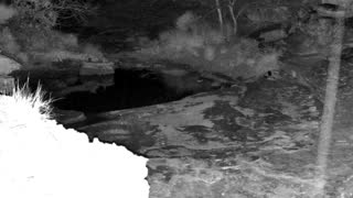Still 1 from this detection