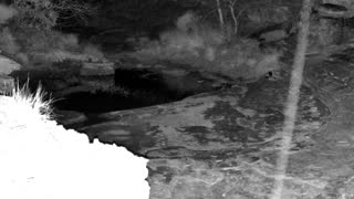 Still 2 from this detection