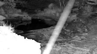 Still 1 from this detection
