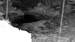 Still 1 from this detection