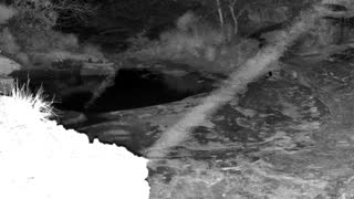 Still 1 from this detection