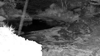 Still 2 from this detection